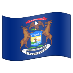 Michigan flag